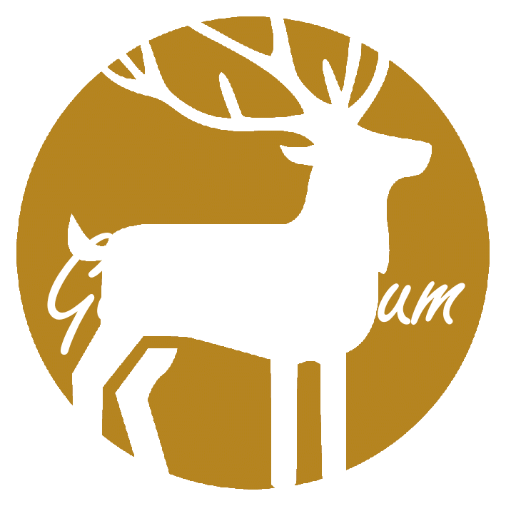 default-logo